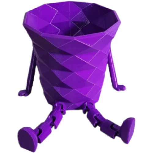 Vaso de Planta Roxo